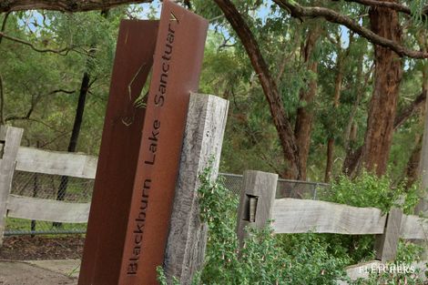 29 Glen Ebor Ave, Blackburn, VIC 3130