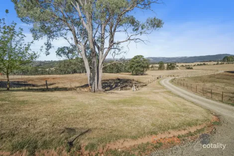 195 Willigobung Rd, Willigobung, NSW 2653