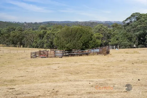 Property photo of 195 Willigobung Road Willigobung NSW 2653