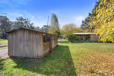 Property photo of 55 Mareeba Avenue Buxton VIC 3711
