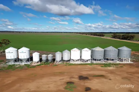 850 Newell Hwy, Wyalong, NSW 2671