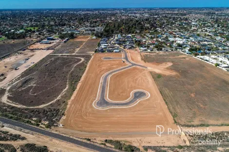 Property photo of 20 Central Park Drive Mildura VIC 3500