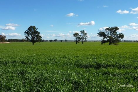 50 Lesterfield Lane, Coolamon, NSW 2701