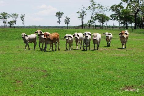 880 Haynes Rd, Adelaide River, NT 0846