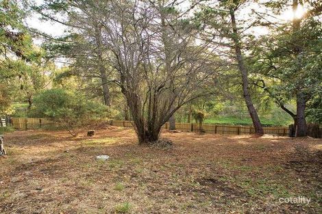 Property photo of 149 Green Street Ivanhoe VIC 3079