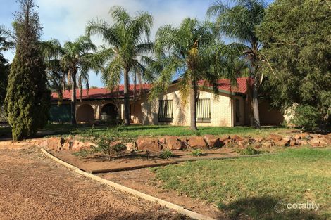 Property photo of 67 Cush Crescent Willbriggie NSW 2680