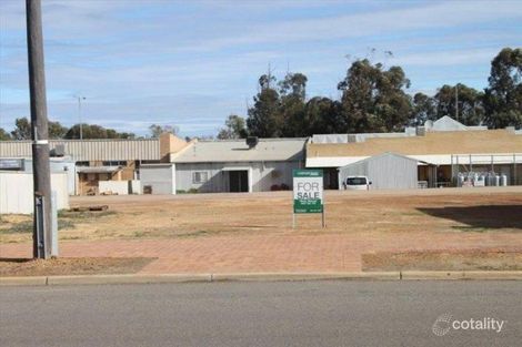 8 Elphin Cres, Wongan Hills, WA 6603