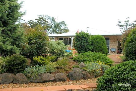 16 Arenga Dr, Tamborine Mountain, QLD 4272