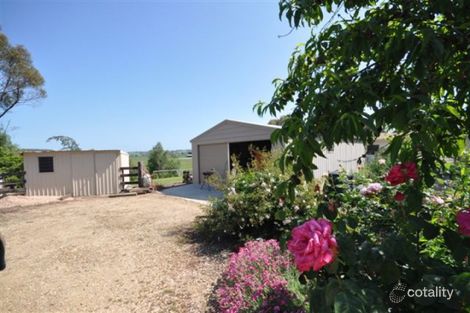 Property photo of 1150 Great Alpine Road Sarsfield VIC 3875