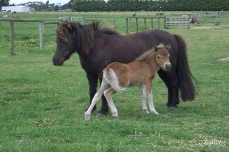 60 Harkers Rd, Caldermeade, VIC 3984