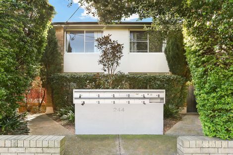 2/244 Maroubra Rd, Maroubra, NSW 2035