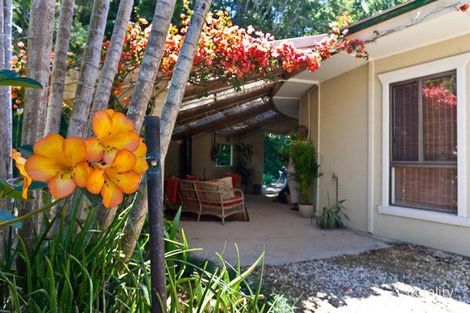 Property photo of 4 Willow Place Mullumbimby NSW 2482
