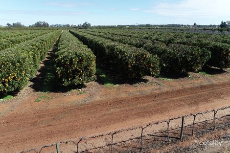 107 Delves Rd, Hanwood, NSW 2680