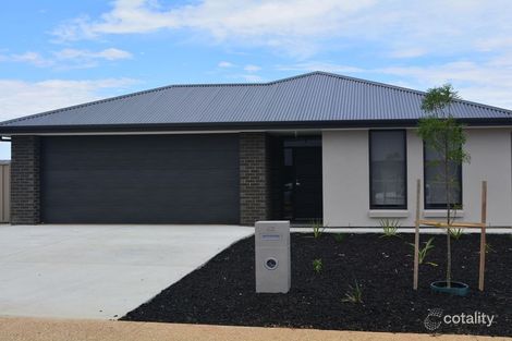 Property photo of 42 Fairbrother Circuit Nuriootpa SA 5355