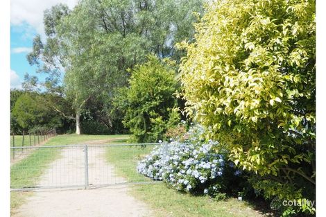 Property photo of 11 Nicholson Street Warialda NSW 2402