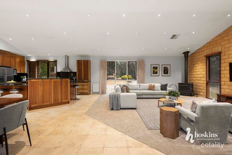 Property photo of 392 Old Warrandyte Road Ringwood North VIC 3134