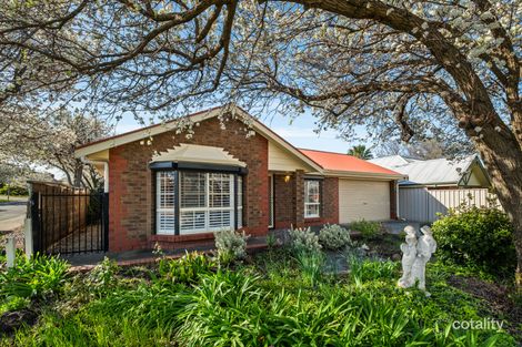 Property photo of 4 Hampton Court Wynn Vale SA 5127