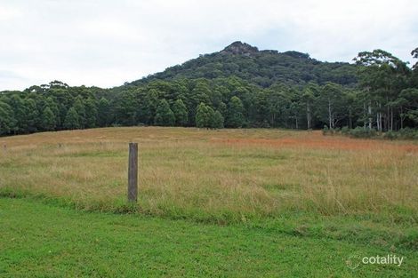 Property photo of 299 Riddles Brush Road Johns River NSW 2443
