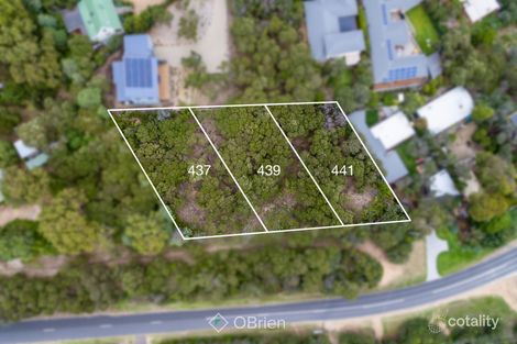 Property photo of 441 Browns Road Rye VIC 3941