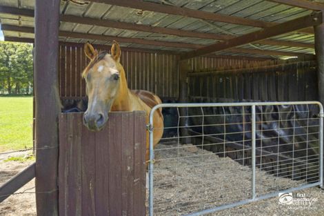 Property photo of 14 Adcocks Road Stokers Siding NSW 2484