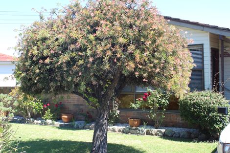 Property photo of 18 Gregory Street Warilla NSW 2528