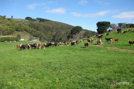 611 Irishtown Rd, Irishtown, TAS 7330