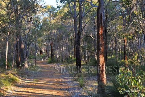 11 Allison Ct, Yallingup, WA 6282