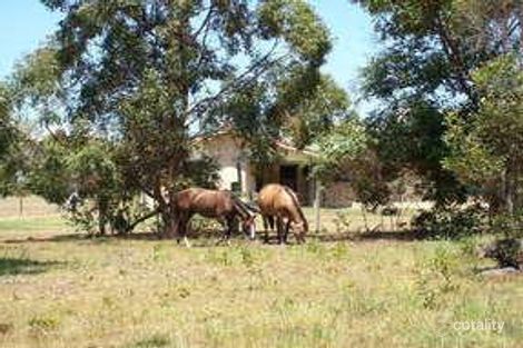 Property photo of 146 Parke Avenue Sunshine Acres QLD 4655