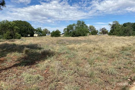 31 Nyngan St, Nyngan, NSW 2825