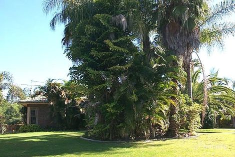 10 Nichols Ave, Beerwah, QLD 4519