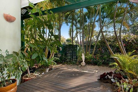 Property photo of 6 Wylah Street Noosaville QLD 4566