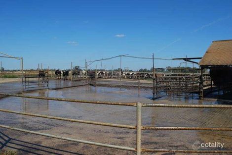 Property photo of 307 Webb Road Kyabram VIC 3620