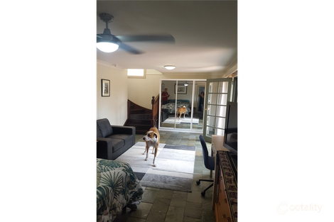 Property photo of 82 Frenchs Forest Road Seaforth NSW 2092