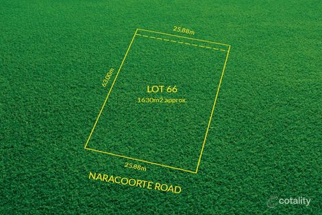Property photo of 11 Naracoorte Road Bordertown SA 5268