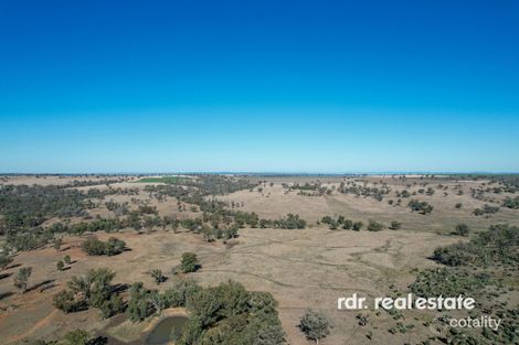874 Gournama Rd, Warialda, NSW 2402