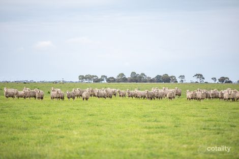 240 Old Avenue Rd, Avenue Range, SA 5273