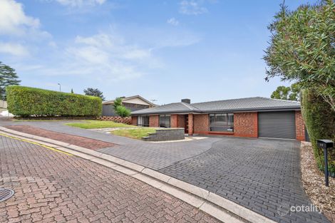 Property photo of 19 Glenthorn Crescent O'Halloran Hill SA 5158
