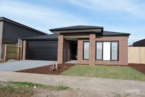 Property photo of 97 Fiorelli Boulevard Cranbourne East VIC 3977