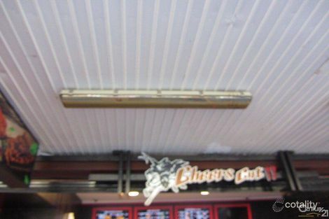 Property photo of 109 John Street Cabramatta NSW 2166