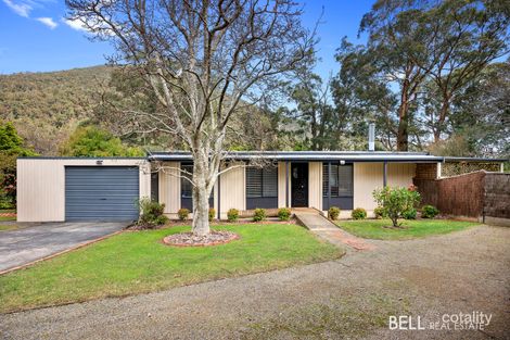 6 Lincoln Rd, Warburton, VIC 3799