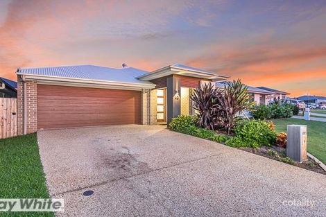 43 Elderflower Cct, Griffin, QLD 4503