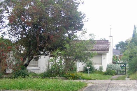 24 Begonia St, Box Hill South, VIC 3128