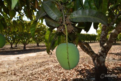 Property photo of 80 Russ Road Tumbling Waters NT 0822