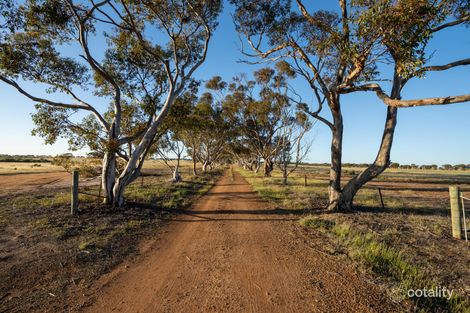 5566 Tie Line Rd, Jackitup, WA 6335