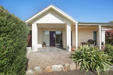 Property photo of 16B Henderson Street Camperdown VIC 3260