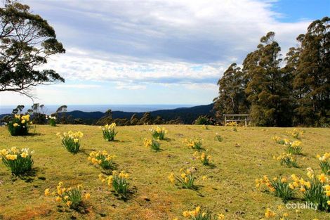 490 German Town Rd, St Marys, TAS 7215