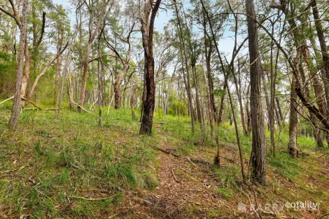 Property photo of 935 Buttermans Track Christmas Hills VIC 3775