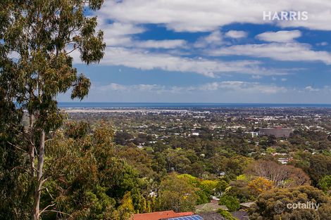 Property photo of 51 Birksgate Drive Urrbrae SA 5064