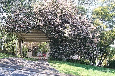 Property photo of 31 Hoya Street Holland Park West QLD 4121