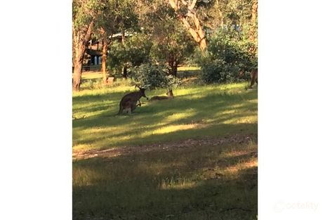 Property photo of 11 Ridgetop Trail Bullsbrook WA 6084